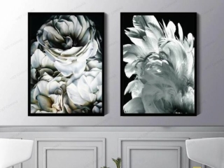 Modern beautiful black and white wall paintings