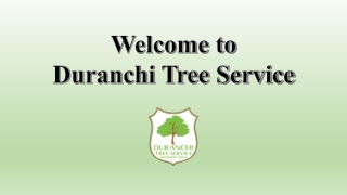 Importance of Professional Tree Trimming Services Las Vegas