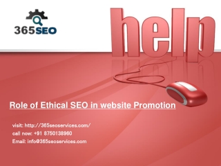 SEO Services in India, top 10 ranking guaranteed call +91 87