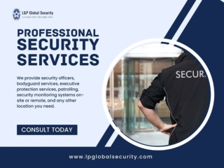 Professional Security Services TX-Call L&P Global Security