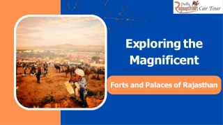 Exploring the Magnificent Forts and Palaces of Rajasthan