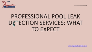 Professional Pool Leak Detection Services What to Expect