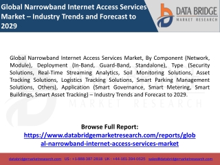 Global Narrowband Internet Access Services Market