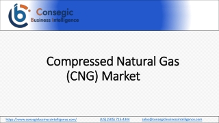 Compressed Natural Gas (CNG) Market Share Projected to Reach 21,068.66 Million,