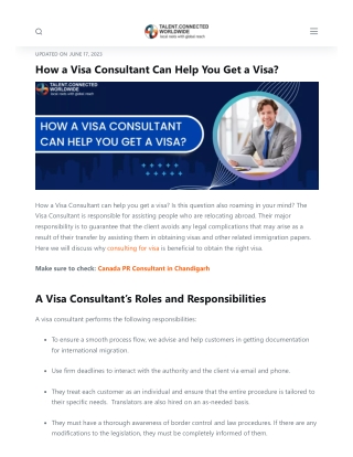 Visa Consultant