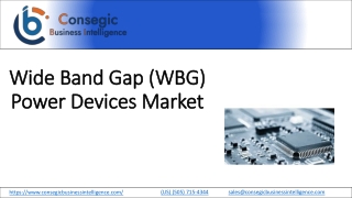 Wide Band Gap (WBG) Power Devices Market regional Analyis 2023-2030