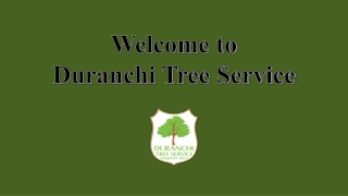 Best Tree Trimming Services Las Vegas