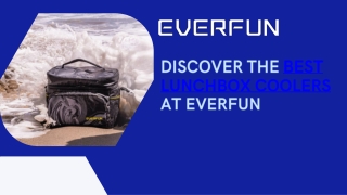 Discover the Best Lunchbox Coolers at EVERFUN