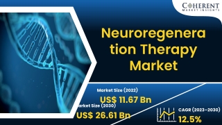 Neuroregeneration Therapy Market Overall Study Report 2023-2030 | Biogen Inc., A