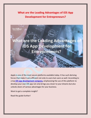 What are the Leading Advantages of iOS App Development for Entrepreneurs?