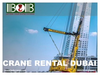 CRANE RENTAL DUBAI