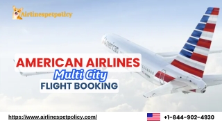 American Airlines Multi-City Flight Booking