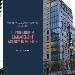 Condominium Management Agency in Boston