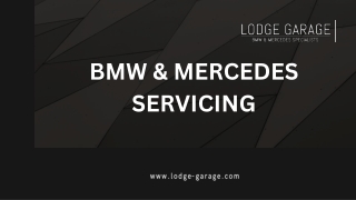 Mercedes Repair Specialist At Lodge Garage