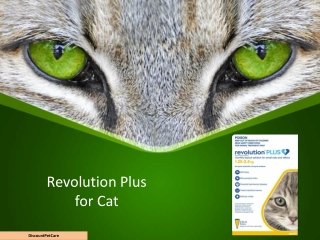 Buy Revolution Plus for Cats Online at lowest Price in Australia.