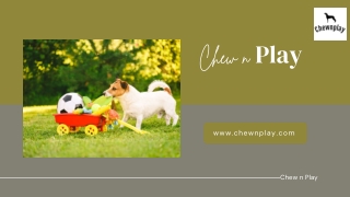 Football for Dog Toys - Chew n Play