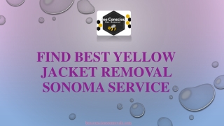 Find Best Yellow Jacket Removal Sonoma Service