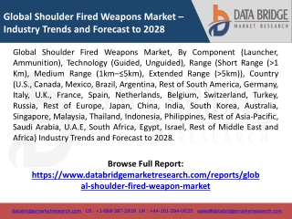 Global Shoulder Fired Weapons Market