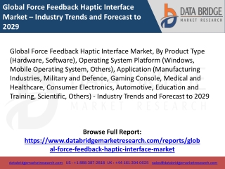 Global Force Feedback Haptic Interface Market