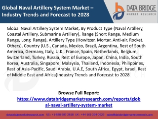 Global Naval Artillery System Market