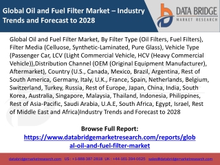 Global Oil and Fuel Filter Market