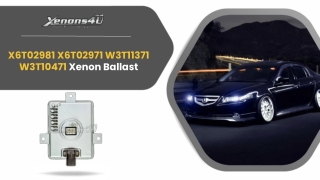 X6T02981 Xenon Ballast