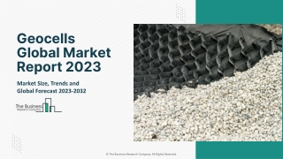 Geocells Market