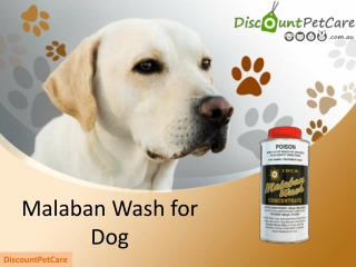 Malaban Wash for Dogs - Effective Flea and Tick Control