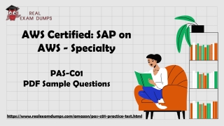 Get Free PAS-C01Practice Questions - PAS-C01Exam Overview - Realexamdumps.com