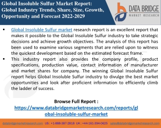 Insoluble Sulfur -Chemical Material