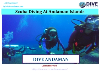 Scuba Diving At Andaman Islands