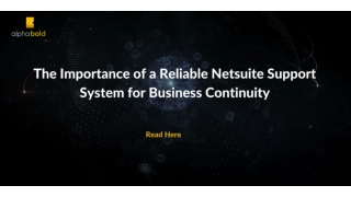 The Importance of a Reliable Netsuite Support System for Business Continuity