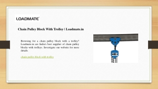 Chain Pulley Block With Trolley  Loadmate.in