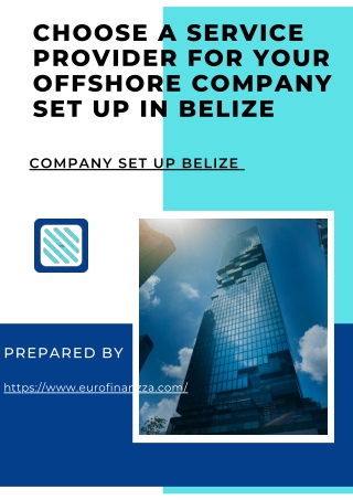 Choose a Service Provider for Your Offshore Company Set Up in Belize