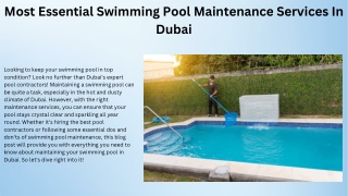 Most Essential Swimming Pool Maintenance Services In Dubai