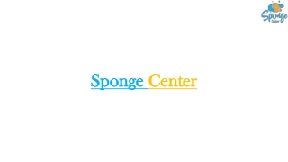 Best Vacuum Cleaner Replacement Sponge Manufacturer: Sponge Center