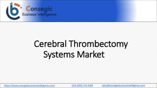 Cerebral Thrombectomy Systems Market Research Study 2023-2030