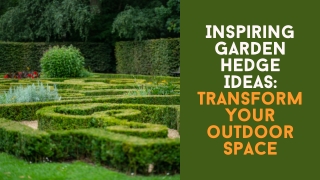 Inspiring Garden Hedge Ideas Transform Your Outdoor Space