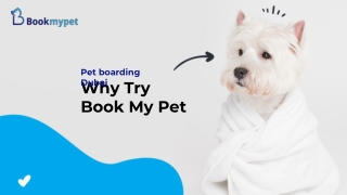 Pet boarding Dubai: Why try Book My Pet