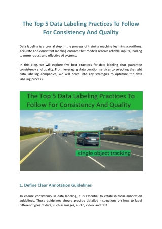 The Top 5 Data Labeling Practices To Follow For Consistency And Quality