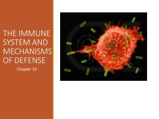 THE IMMUNE SYSTEM AND MECHANISMS OF DEFENSE