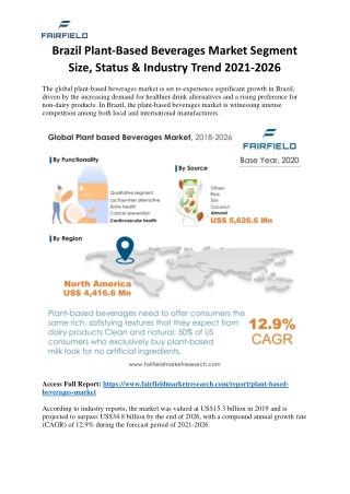 Brazil Plant-Based Beverages Market Segment Size, Status & Industry Trend 2026