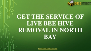 Get the service of live bee hive removal