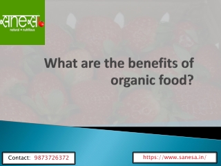 What Are the Benefits of Organic Food?