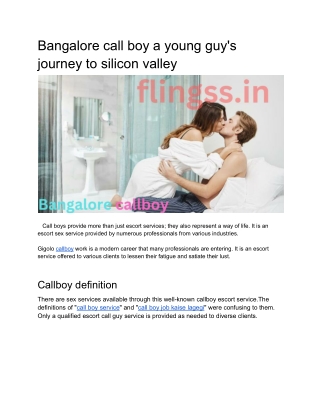 Bangalore call boy a young guy's journey to silicon valley