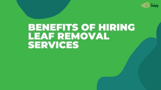 Benefits Of Hiring Leaf Removal Services