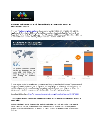 Global Hydrazine Hydrate Market Projected to Reach $308 Million by 2027: