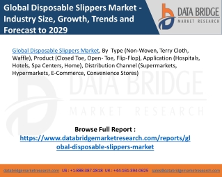 Global Disposable Slippers Market