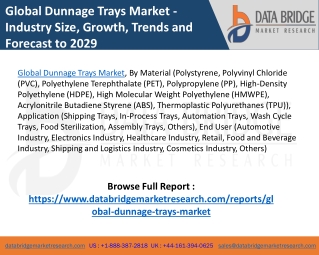 Global Dunnage Trays Market