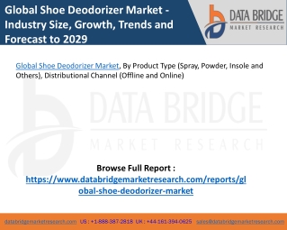 Global Shoe Deodorizer Market